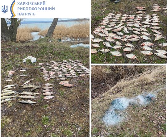 браконьер